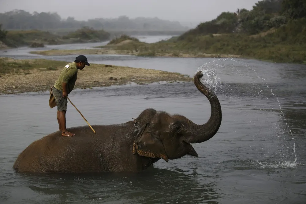 Elephant Festival in Nepal