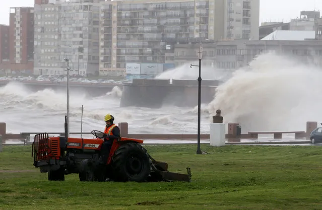 A man mows the grass as waves hit the city's waterfront during a wind storm in Montevideo, Uruguay, October 27, 2016. (Photo by Andres Stapff/Reuters)