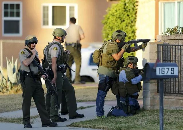 Police officers conduct a manhunt after a shooting rampage in San Bernardino, California December 2, 2015. Gunmen opened fire on a holiday party on Wednesday at a social services agency in San Bernardino, California, killing 14 people and wounding 17 others before fleeing, authorities said. (Photo by Mike Blake/Reuters)