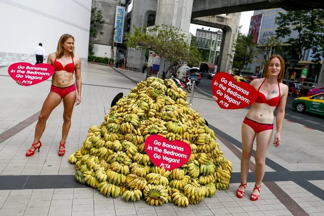 Animal rights activists from People for the Ethical Treatment of Animals (PETA) hand out bananas at an intersection in Bangkok, Thailand, 12 February 2015. According to the organization, the cholesterol in meat is responsible for hardening arteries, slowing blood flow to all organs. (Photo by Diego Azubel/EPA)