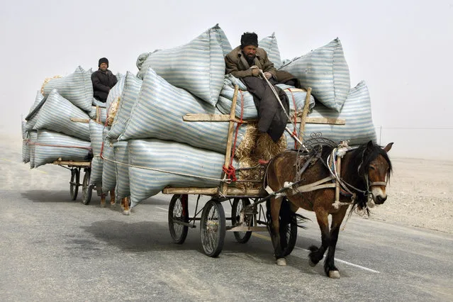 Uighur men ride their horse carts during a sandstorm as they deliver hay around the Paklamakan desert, some 100km (63 miles) east to Yecheng, in the region of Xinjiang April 5, 2008. (Photo by Nir Elias/Reuters)