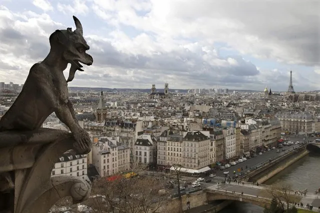 A chimera of Notre Dame Cathedral, overlooks the French capital, including the Eiffel Tower, in Paris, France, January 14, 2016.The chimeras, creatures designed by Viollet-le-duc in the 19th century, are fantastic birds, hybrid beasts and mythical monsters perching on the towers. (Photo by Charles Platiau/Reuters)