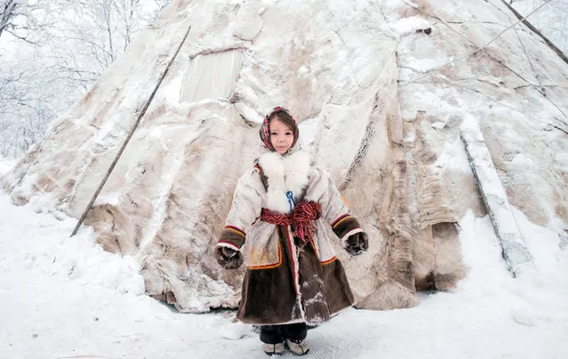 A local girl seen by a chum in the village of Gornoknyazevsk, Priuralsky District, Yamalo-Nenets Autonomous Area, Russia on December 11, 2018. Nomadic indigenous peoples of Northern Russia live in the so-called chums, a round tent-like temporary dwelling made of wooden poles wrapped in reindeer hides, with a fireplace in the middle; the wives of reindeer herders do the housekeeping there and are called chum-keepers. Since 2018, a chum-keeper is listed in Russia's Occupational Classification. (Photo by Donat Sorokin/TASS)