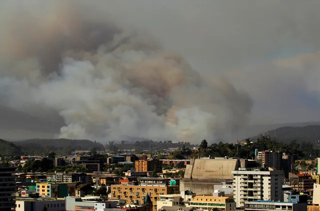 Smoke from the forest fire is seen from the town of Penco in the Concepcion region, south of Chile, January 25, 2017. (Photo by Juan Gonzalez/Reuters)