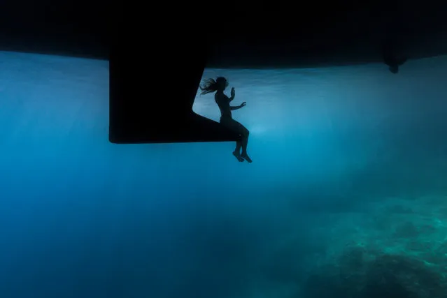 Up and coming runner-up. My place under the boat by Matej Bergoc (Slovenia) in Island Solta, Croatia. “This shot was taken in a remote bay of Solta island, during this year sailing in Croatia. I was aiming to capture just the silhouette surrounded by the beautiful radiant blue background. It took few attempts before her legs, arms and hair were in perfect composition. It was far more difficult for my girlfriend to sit under the boat and pose without any additional weights, then it was for me taking the shot”. (Photo by Matej Bergoc/Underwater Photographer of the Year 2019)