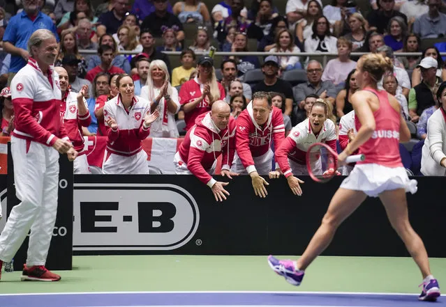Members of the Swiss team congratulate Viktorija Golubic, right, after winning the first set against Madison Keys of the United States, during their playoff-round Fed Cup tennis match, Saturday, April 20, 2019, in San Antonio. (Photo by Darren Abate/AP Photo)