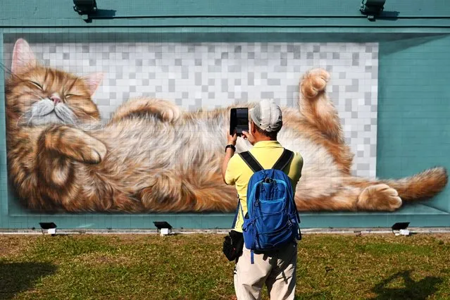 A mural depicting a resting cat by Russian street artist Vladi is photographed by a man outside a hotel in Hong Kong on November 27, 2023. (Photo by Peter Parks/AFP Photo)