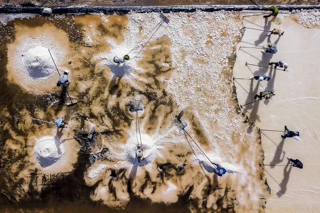 Workers at a salt field in Bac Lieu province, Vietnam, create powdery patterns as they rake salt into huge piles on November 1, 2021. About 20 people work in temperatures reaching 37°C. (Photo by Nguyen Tran Thanh Nha/Solent News)