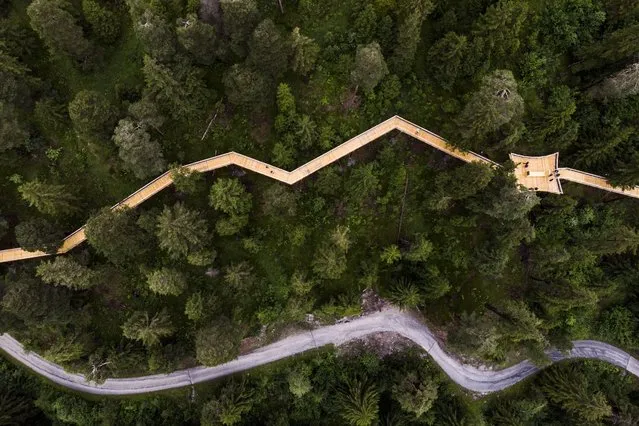 View of the world's longest treetop walk in Laax, Switzerland, 09 July 2021. The “Senda dil Dragun” (Way of the Dragon) is 1.56 kilometres​ long and will be opened to the public on 11 July. (Photo by Gian Ehrenzeller/EPA/EFE)
