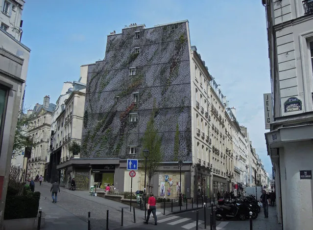 Vertical Garden - By Patrick Blanc in Madrid, Spain