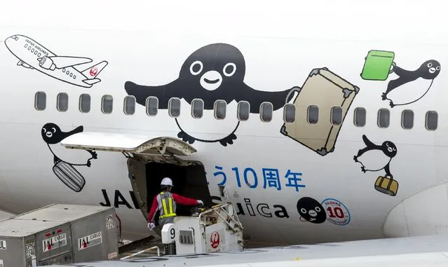 A member of the ground staff unloads a Japan Airlines (JAL) passenger plane at Haneda airport in Tokyo July 2, 2015. (Photo by Thomas Peter/Reuters)