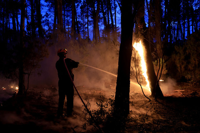 A firefighter tackles a blaze during a forest fire near Vidauban, southern France, on June 11, 2024. The forest fire in the Var, fanned by a violent wind, has already covered 600 hectares at the end of the day on June 11, 2024, the first major fire in the south of France in 2024, with more than 200 firefighters, supported by 50 engines, three water bombers and a heavy helicopter fighting the blaze. (Photo by Valery Hache/AFP Photo)