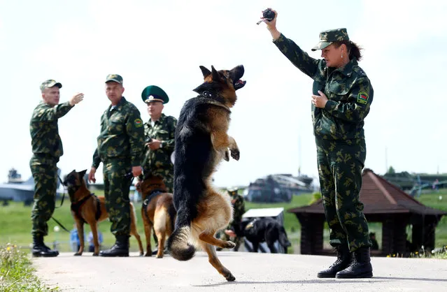 Belarussian border guards display their skills during the celebrations for Border Guards Day at the “Stalin Line” memorial near the village of Goroshki, Belarus May 28, 2016. (Photo by Vasily Fedosenko/Reuters)