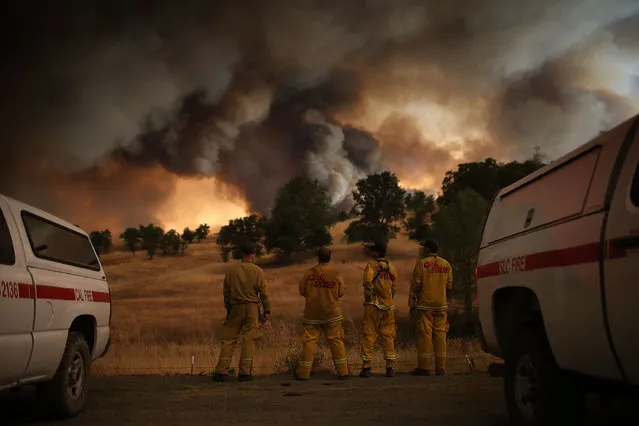 Cal Fire firefighters watch a large plume of smoke as it rises from the Rocky Fire on August 1, 2015 near Clearlake, California. Over 1,900 firefighters are battling the Rocky Fire that burned over 22,000 acres since it started on Wednesday afternoon. The fire is currently five percent contained and has destroyed at least 14 homes. (Photo by Justin Sullivan/Getty Images)