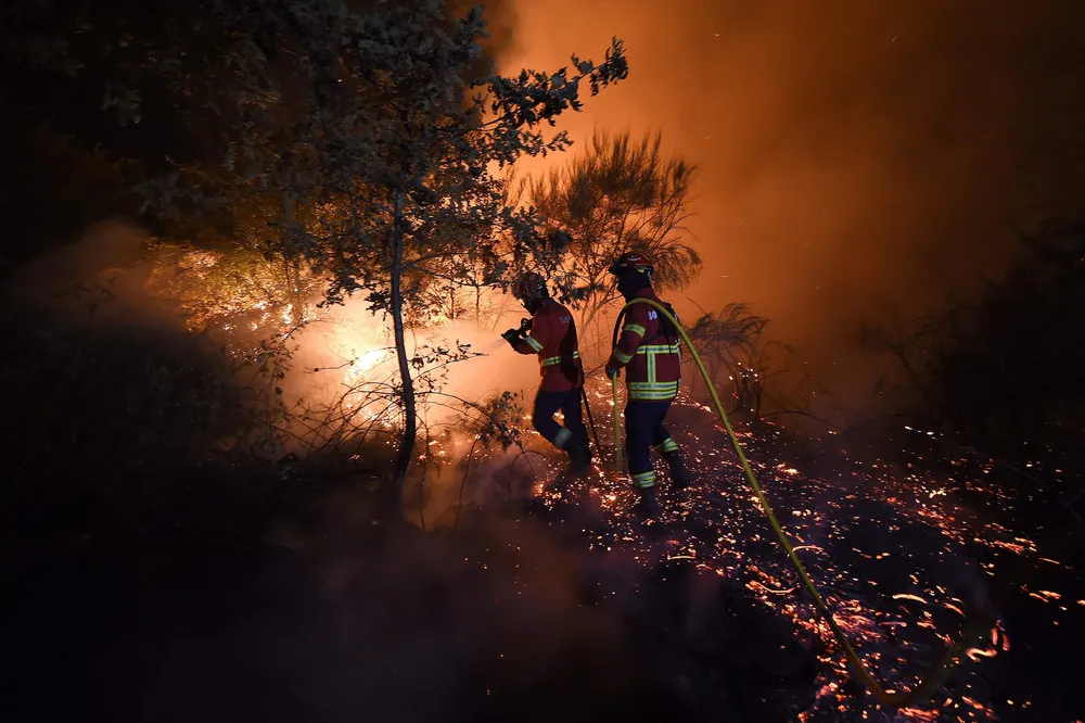 The Day in Photos – August 12, 2015