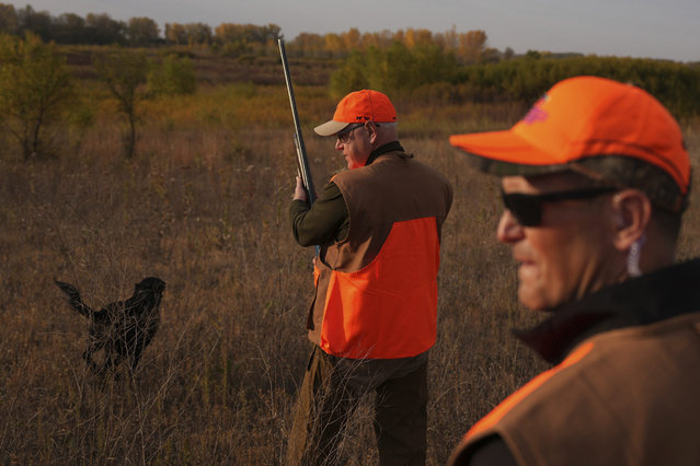 Flanked by his Secret Service detail, Tim Walz, Minnesota governor and Democratic vice presidential candidate, takes part in the annual Minnesota Governor's Pheasant Hunting Opener near Sleepy Eye, Minn., Saturday, October 12, 2024. (Photo by Anthony Souffle/Star Tribune via AP Photo)