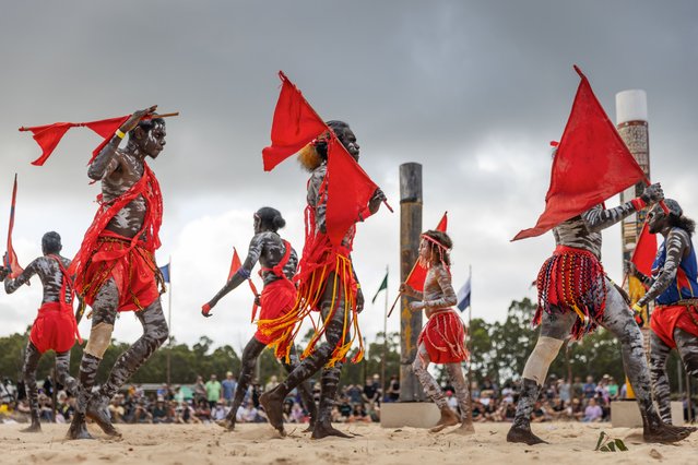 Red Flag dancers perform on the Bungul (dance) grounds during Garma Festival 2022 at Gulkula on August 04, 2023 in East Arnhem, Australia. The annual Garma festival is held at Gulkula, a significant ceremonial site for the Yolngu people of northeast Arnhem Land about 40km from Nhulunbuy on the Gove peninsula in East Arnhem. The festival is a celebration of Yolngu culture aimed at sharing culture and knowledge which also brings politicians and Indigenous leaders together to discuss issues facing Australia's Aboriginal and Torres Strait Islander people. The gathering takes on a special significance in 2023 with a constitutional referendum on the Voice to Parliament to be held later in the year. (Photo by Tamati Smith/Getty Images)