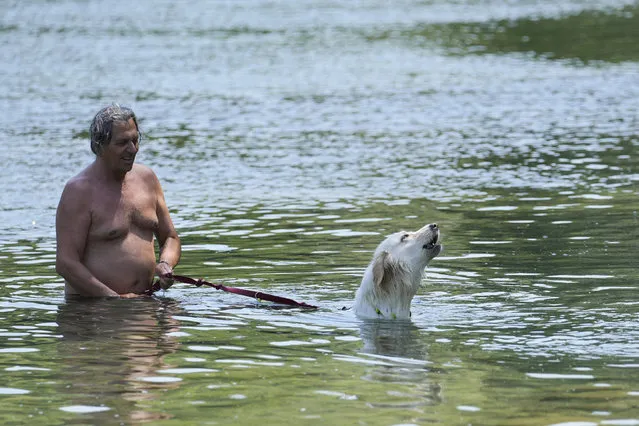A man and his dog cool off on the Adda river, in Cornate D'Adda, northern Italy, Wednesday, July 13, 2022. Temperatures in Italy are expected to rise up to 38 degrees Celsius (100,4 degrees Fahrenheit). (Photo by Luca Bruno/AP Photo)