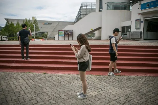 South Korean youths play Pokemon Go on July 15, 2016 in Sokcho, South Korea. (Photo by Jean Chung/Getty Images)