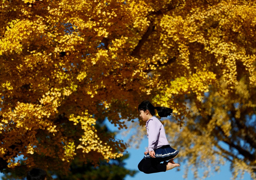 A Look at Life in Japan