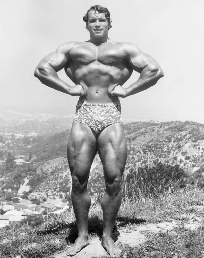 Arnold Schwarzenegger Turns 69