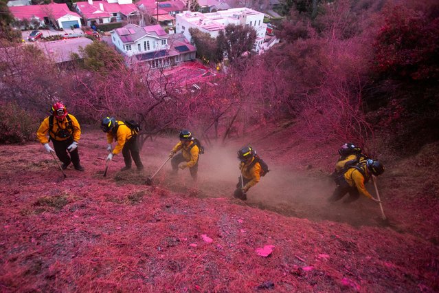 Firefighters work to clear a firebreak on a hillside covered with retardant as the Palisades Fire, one of several simultaneous blazes that have ripped across Los Angeles County, burns in Mandeville Canyon, a neighborhood of Los Angeles, California, U.S., January 12, 2025. (Photo by Ringo Chiu/Reuters)