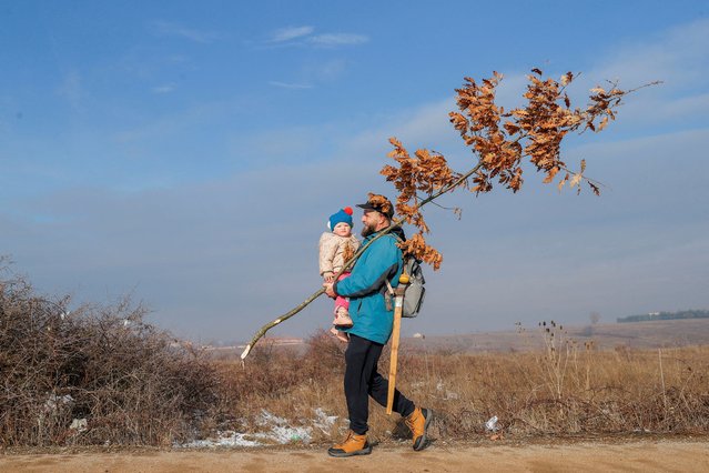 A Kosovo ethnic Serb carries a dried oak branch, which symbolises the Yule log, on the Orthodox Christmas Eve, in Gracanica, Kosovo on January 6, 2025. Serbian Orthodox believers celebrate Christmas on January 7, according to the Julian calendar. (Photo by Valdrin Xhemaj/Reuters)