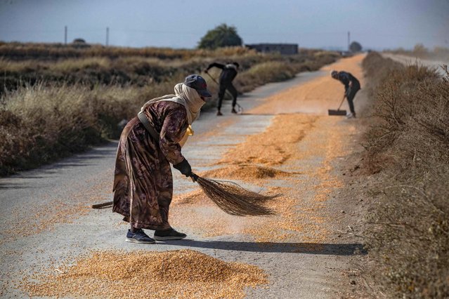 Syrian farmers sweep harvested corn near the northern city of Raqa on December 4, 2023. (Photo by Delil Souleiman/AFP Photo)