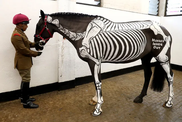 A horse named Quinn, with a skeleton painted on it to help educate officers, is pictured during a visit by Britain's Queen Elizabeth II (unseen) and Britain's Prince Charles, Prince of Wales (unseen) to the Household Cavalry Mounted Regiment at the Hyde Park Barracks in west London on October 24, 2017. (Photo by Chris Jackson/AFP Photo)
