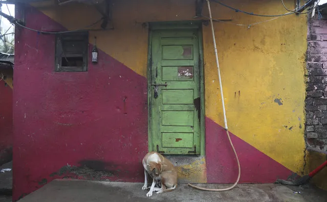 A dog sits by the door of a house whose residents have been evacuated, by the shores of the Arabian Sea in Mumbai, India, Wednesday, June 3, 2020. (Photo by Rafiq Maqbool/AP Photo)