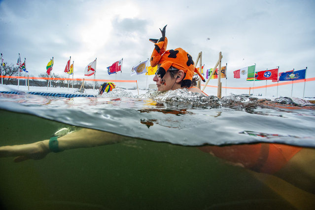Swimmers take part in the 25 meter hat competition swim during the Memphremagog Winter Swimming Festival at lake Memphremagog in Newport, Vermont on February 21, 2025. (Photo by Joseph Prezioso/AFP Photo)