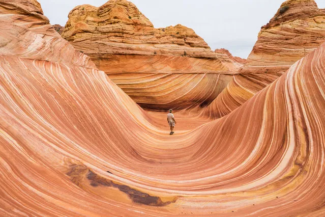 “The Wave”. I met a man at “The Wave”. He was by himself and had a beacon for safety. It's not easy to go there for sure. Photo location: Arizona, USA. (Photo and caption by Takashi Nakagawa/National Geographic Photo Contest)
