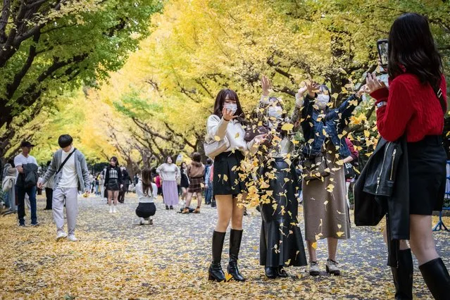 People have their photographs taken as they throw fallen leaves in autumn colours in Tokyo on November 13, 2022. (Photo by Yuichi Yamazaki/AFP Photo)