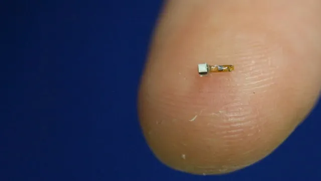 A dust-sized wireless sensor that makes it possible to wirelessly monitor neural activity in real time when implanted inside the body, is shown on a finger in this handout photo. (Photo by Reuters/UC Berkeley)