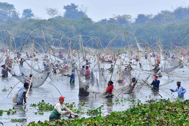 Villagers participate in a community fishing event during “Bhogali Bihu” harvest celebrations at Goroimari Lake in Panbari, Kamrup district, in India's Assam state on January 14, 2023.  (Photo by Biju Boro/AFP Photo)