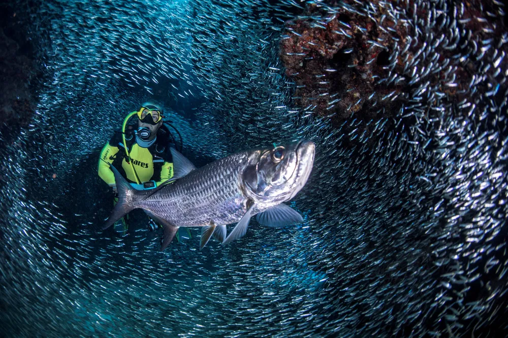 Some Photos: Underwater