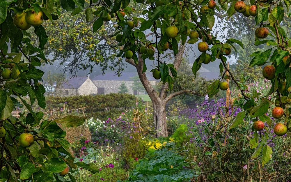 UK International Garden Photographer of the Year