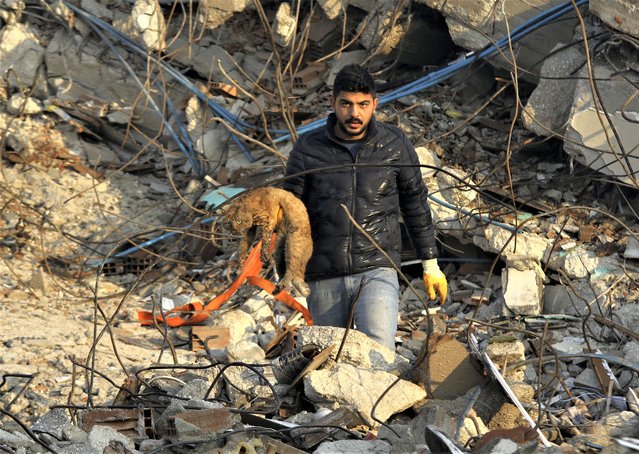 A man holds a shocked and tired cat he rescued from the ruble of a collapsed building in Hatay city center, southern Turkey, Thursday, February 9, 2023. Thousands who lost their homes in a catastrophic earthquake huddled around campfires and clamored for food and water in the bitter cold, three days after the temblor and series of aftershocks hit Turkey and Syria. (Photo by IHA via AP Photo)