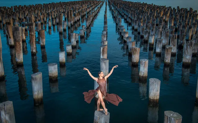 “Jason has beautifully captured a year of politics, sport and art in Australia. Through his lens he has also helped put a human face to social issues in the news”. Here, Melbourne Ballet Company dancer Kristy Lee Denovan is pictured at Princess Pier. (Photo by Jason Edwards/The Walkley Foundation)