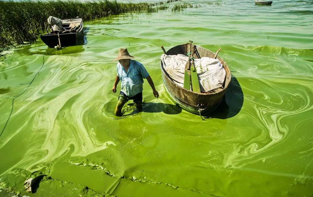 The Week in Pictures: July 12 – July 19, 2013 (78 Photos)