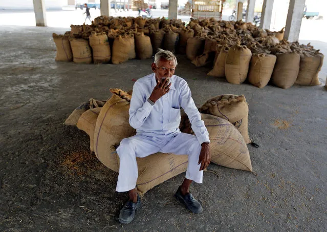 A farmer smokes while sitting on sacks of paddy crops as he waits for customers, one week after the Indian government withdrew the circulation of high denomination banknotes, in Sanand village on the outskirts of Ahmedabad, India, November 15, 2016. (Photo by Amit Dave/Reuters)
