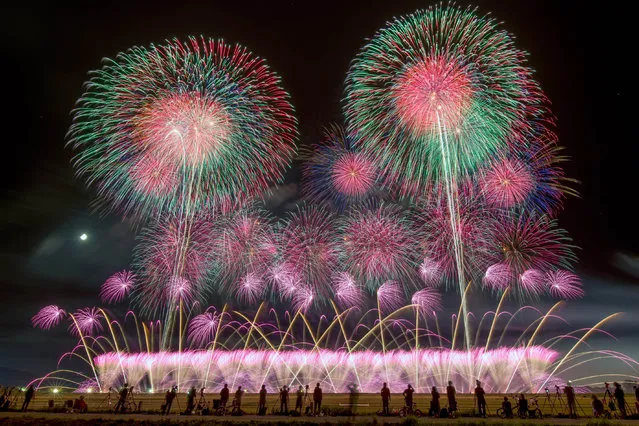 Akagawa Fireworks Display, Tsuruoka City, Yamagata Prefecture. (Photo by Makoto Igari/Caters News Agency)
