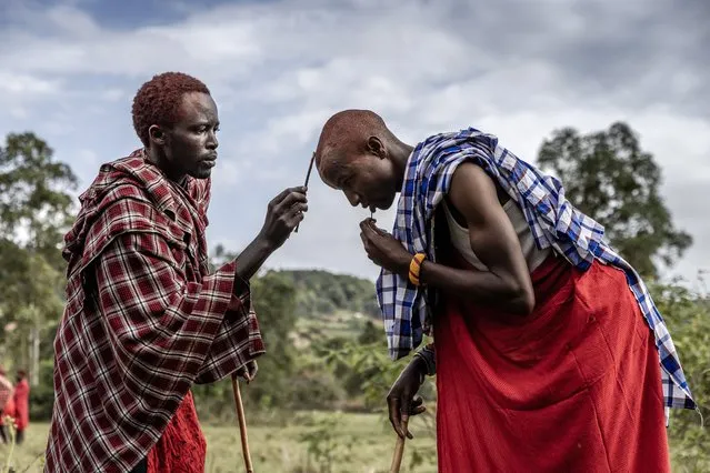 A young Maasai man paints the head of his friend using a stick and the traditional red ochre pigment as they prepare to take part in the Eunoto ceremony in a remote area near Kilgoris, Kenya on August 18, 2023. (Photo by Luis Tato/AFP Photo)