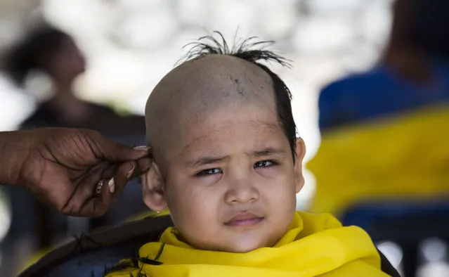 A young boy gets his head shaved while attending Thaipusam on January 24, 2016 at Batu Caves, Kuala Lumpur, Malaysia. (Photo by Tim Whitby/Getty Images)