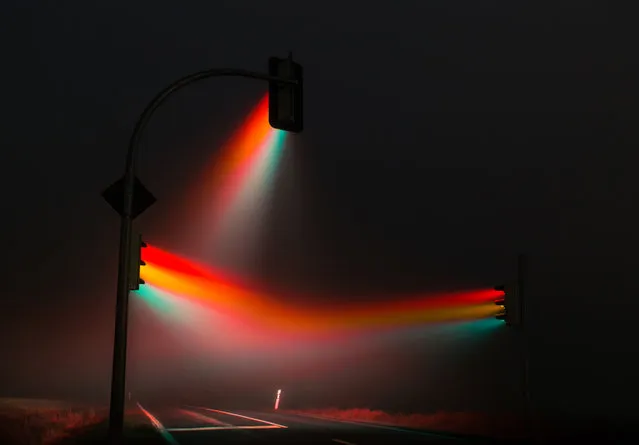 Misty Traffic Lights In Germany Photographed By Lucas Zimmermann