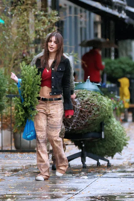 American model Emily Ratajkowski walks home in the rain with a Christmas Tree and Christmas wreath in New York City early December 2023. Emily is wearing Just Cavalli snakeskin pants, red knit halter top sweater and black short-waisted jacket. (Photo by Christopher Peterson/Splash News and Pictures)