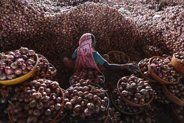 A laborer sorts onions inside Shivshankar Trading Co.'s onion storehouse at the Agriculture Produce Market Committee (APMC) wholesale market in Lasalgaon, India, on Saturday, August 31, 2013. (Photo by Dhiraj Singh/Bloomberg)