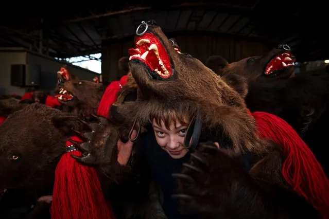 Members of a regional bear pack perform during a festival in Moinesti, northern Romania, Wednesday, December 27, 2023. The dancing bears tradition originates from the pre-Christian era, when dancers wearing colored costumes or animal furs, toured from house to house in villages singing and dancing to ward off evil. (Photo by Andreea AlexandruAP Photo)