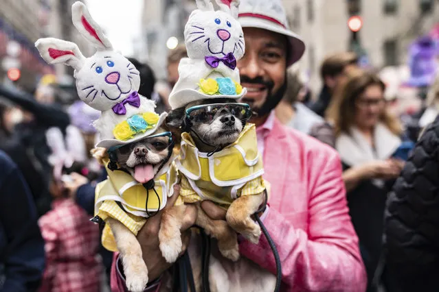Dogs dressed in costumes participate in the Easter Parade and Bonnet Festival, Sunday, April 21, 2019, in New York. (Photo by Jeenah Moon/AP Photo)