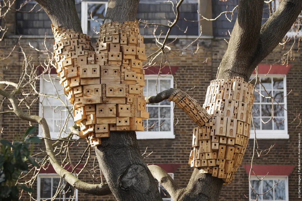 Artists Create Bird Boxes To Reflect Their Surrounding